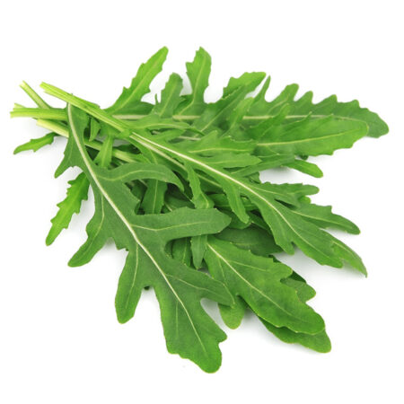 Rucola