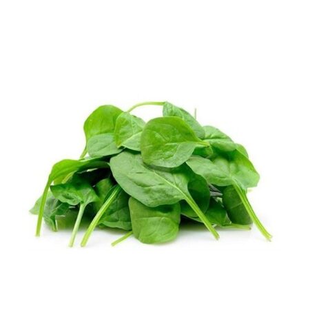 Spinacino